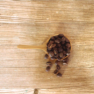 Kinto Coffee Measuring Spoon with Beans from Above